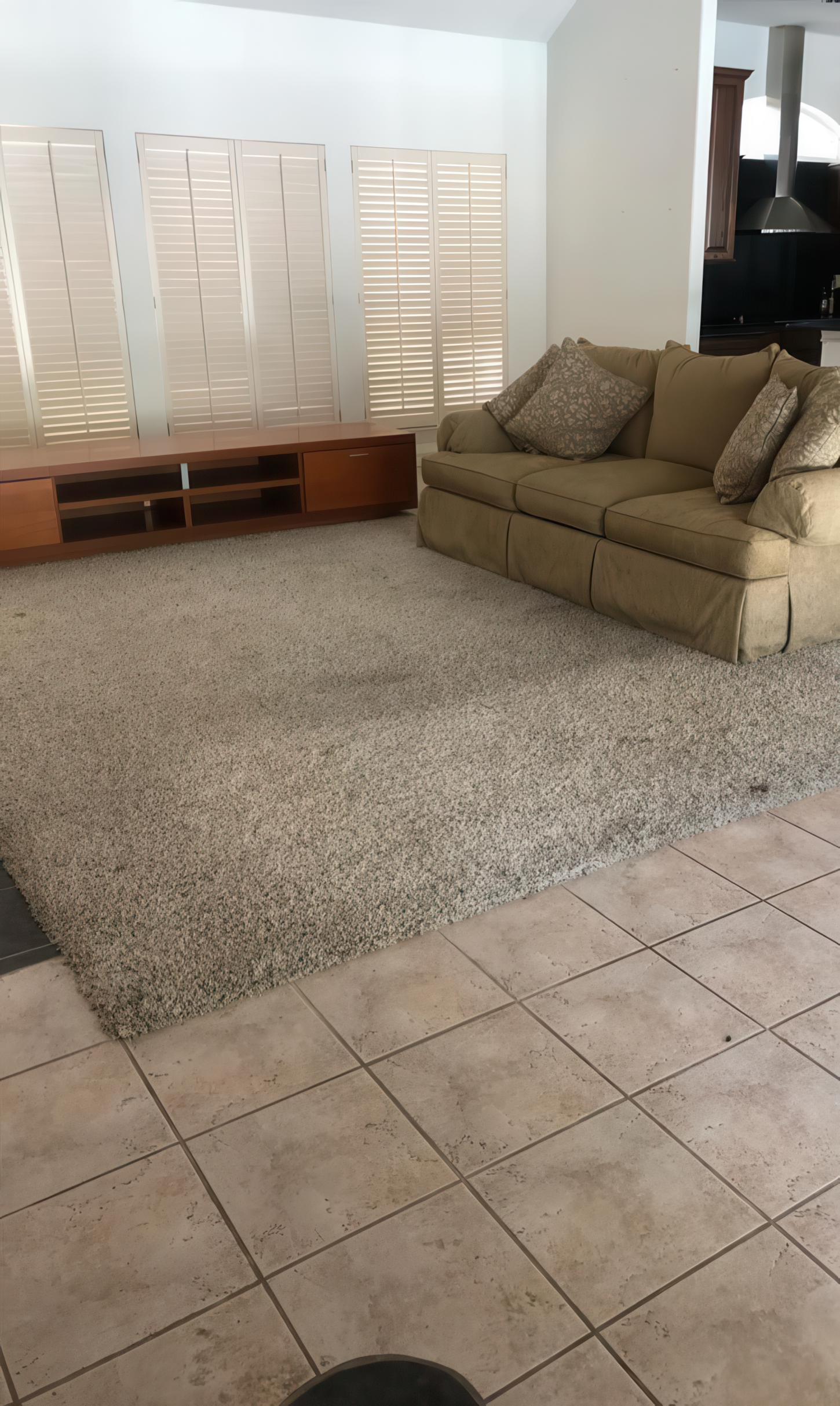 FRAMINGFLOORING 2 BEFORE–low resolution v2-2x